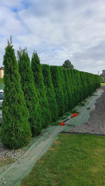 koszenie podkaszanie