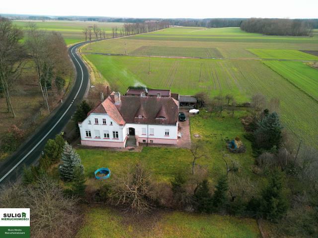 Lokal użytkowy Pałck gm. Skąpe