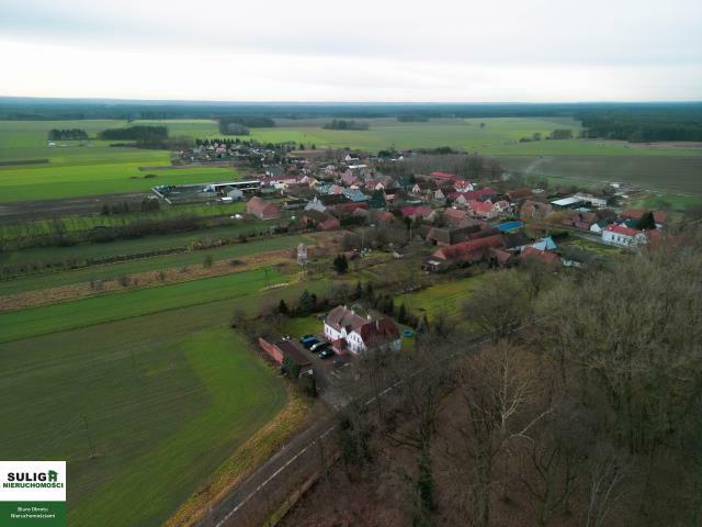 Lokal użytkowy Pałck gm. Skąpe