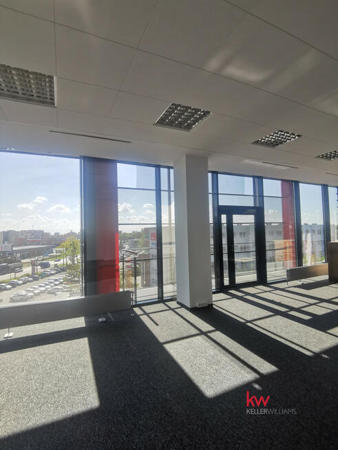 Lokal użytkowy Poznań gm. Poznań-Stare Miasto Winogrady, Obornicka