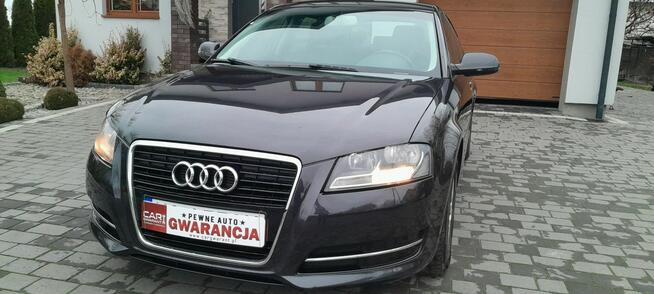 Audi A3 1.6 TDI Attraction 5 drzwi 2011r Zarejestrowana