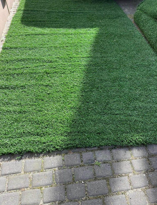 Sztuczna Trawa Piłkarska dla zwierząt