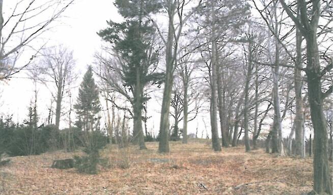 Sprzedam budynek Zawidów ul. Zgorzelecka