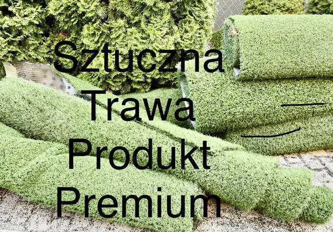 Sztuczna Trawa Piłkarska dla zwierząt