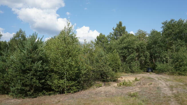 Sprzedam działkę w Niechnabrzu