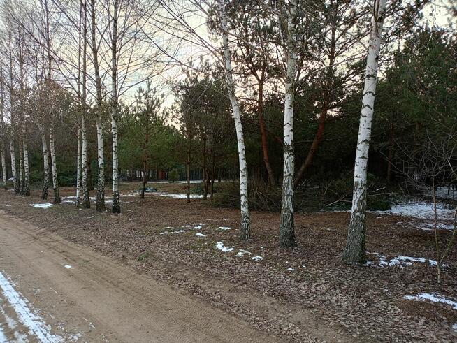 Działka 1714m2 Lipianki