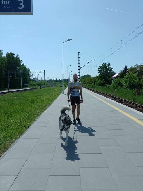 Szkolenie Psów i Behawiorystyka - Sprytne Łapy