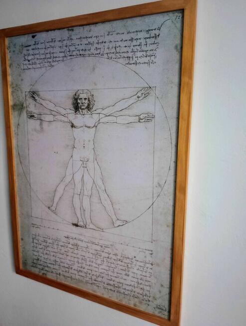 Obraz na płótnie -Człowiek witruwiański, Leonardo, 50x70cm