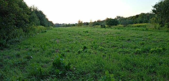 Sprzedam działkę w Nadbrzeżu