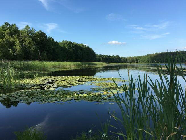 Dom z linią brzegową jeziora i pomostem