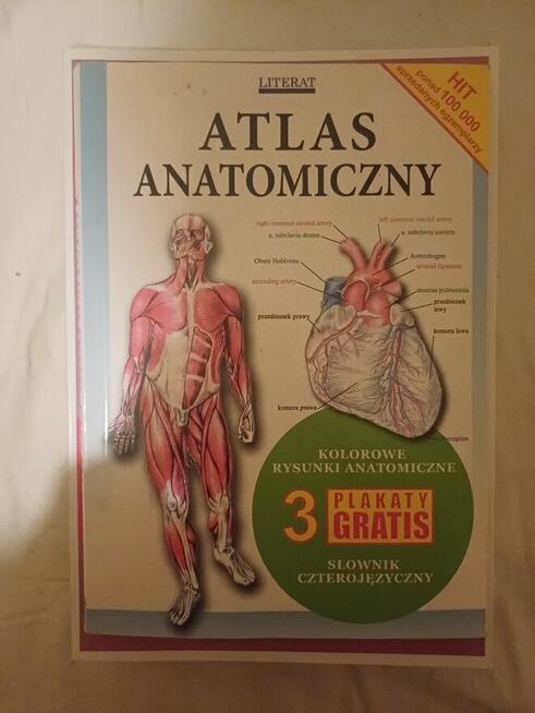 Atlas anatomiczny