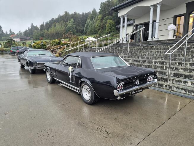 Samochód do ślubu. Mustang do ślubu