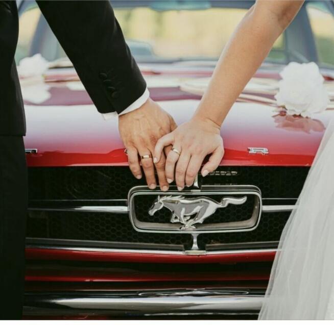 Samochód do ślubu. Mustang do ślubu