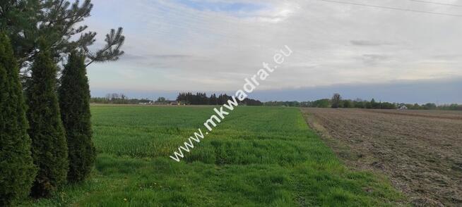 3416m2 Pasikonie k/Kampinosu z warunkami zabudowy!