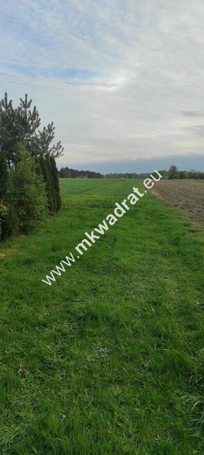 3416m2 Pasikonie k/Kampinosu z warunkami zabudowy!