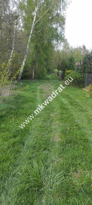 3416m2 Pasikonie k/Kampinosu z warunkami zabudowy!