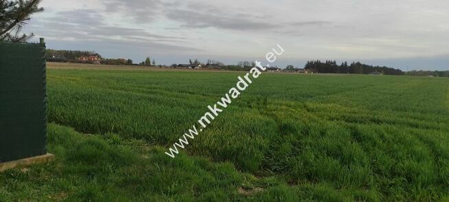 3416m2 Pasikonie k/Kampinosu z warunkami zabudowy!
