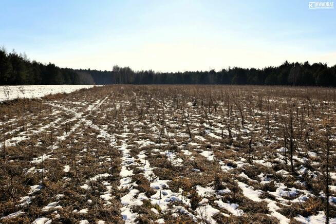 Działka rekreacyjna Pryszczowa Góra gm. Niemce