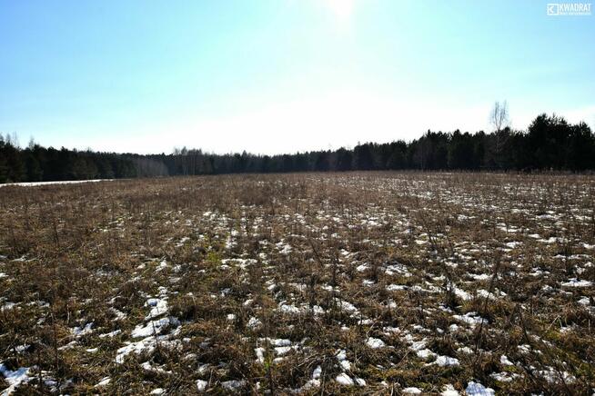 Działka budowlana Pryszczowa Góra gm. Niemce