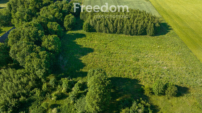 Działka z wydanymi warunkami zabudowy na dom