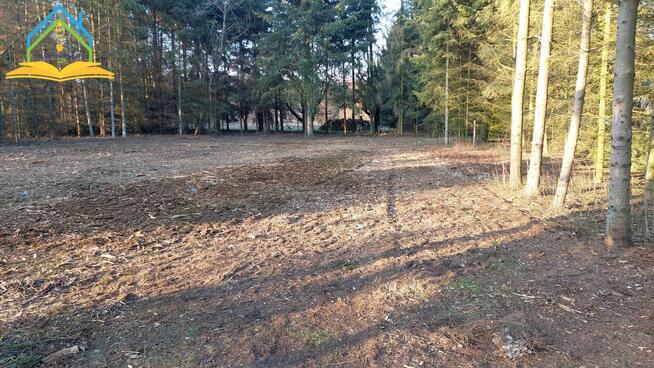 Działka budowlana Rembertów gm. Tarczyn