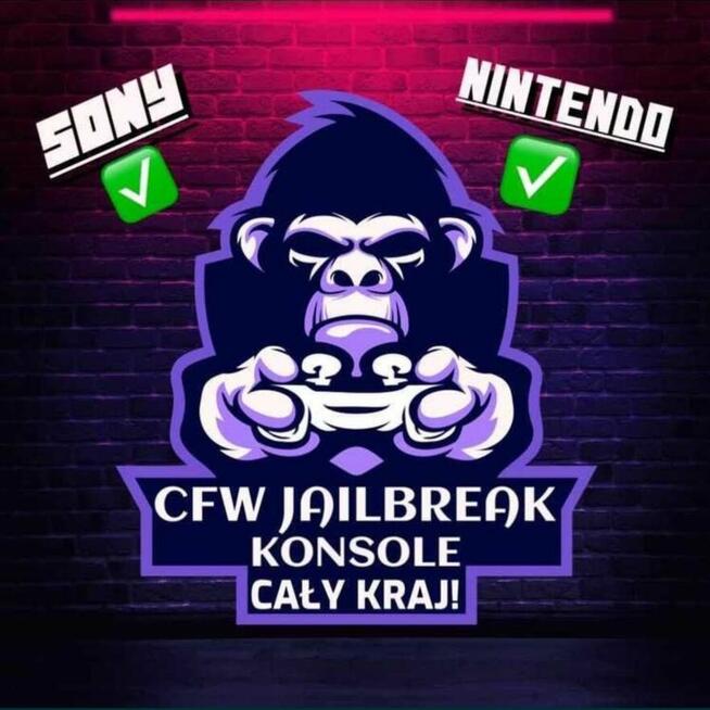 Sony PS3 PS4 PSP VITA Nintendo Switch 2DS 3DS CFW Jailbreak