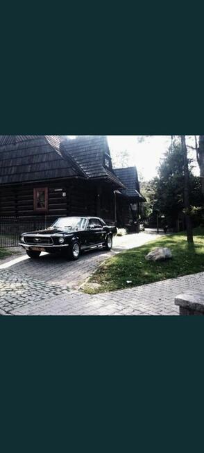 Samochód do ślubu. Mustang do ślubu