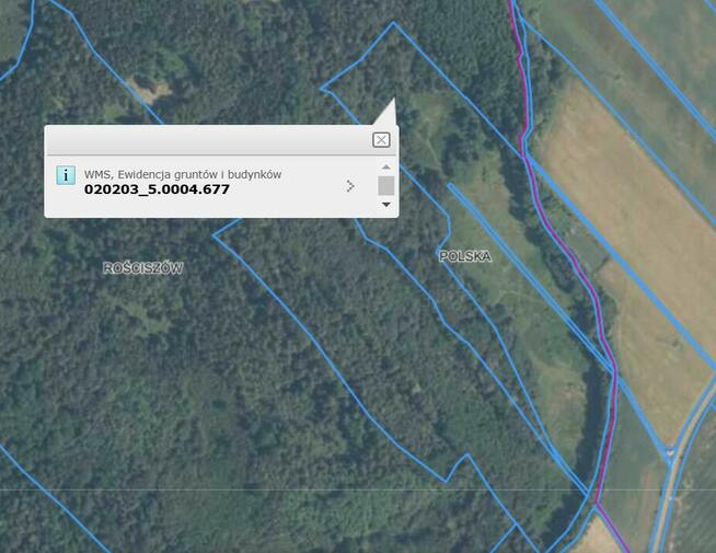 DWIE DZIAŁKI W PIESZYCACH! - SPRZEDAM - CENA DO NEGOCJACJI