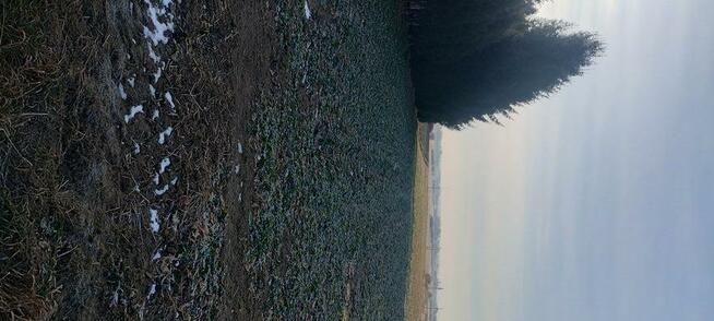 Działki budowlane w Sitno