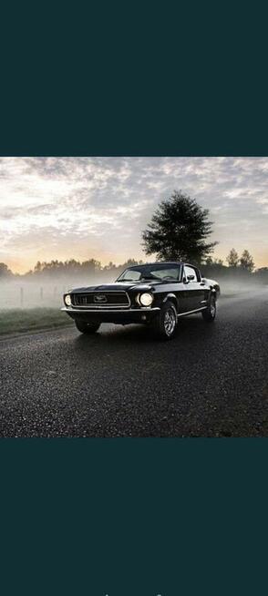 Samochód do ślubu. Mustang do ślubu