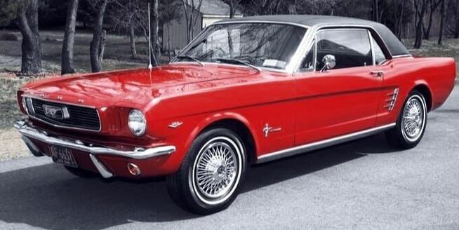 Samochód do ślubu. Mustang do ślubu