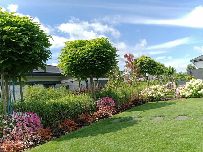 Czas na porządki w ogrodzie