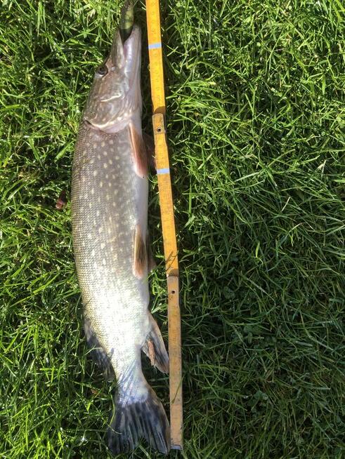 Ferie tanio w górach