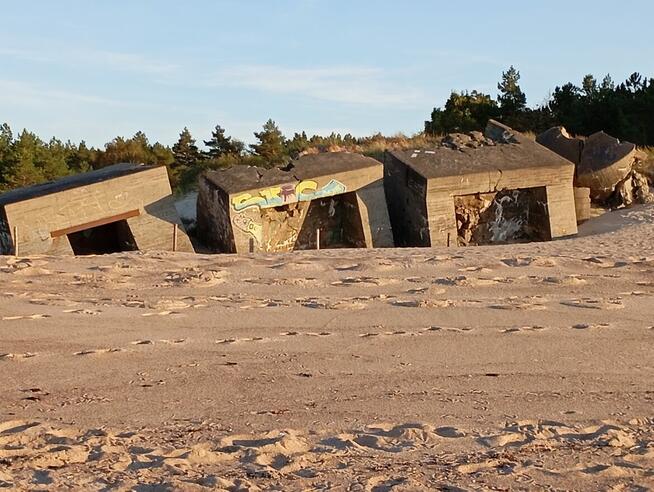 Domki Letniskowe Mojito