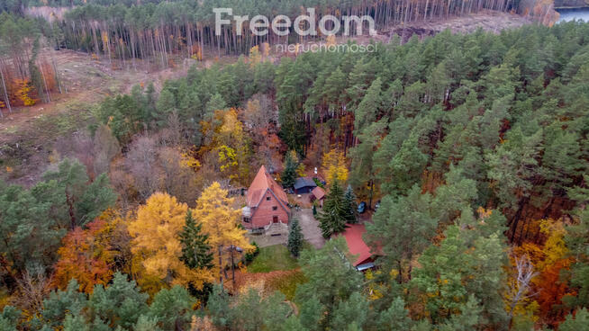 Agroturystyka w lesie nad jeziorem