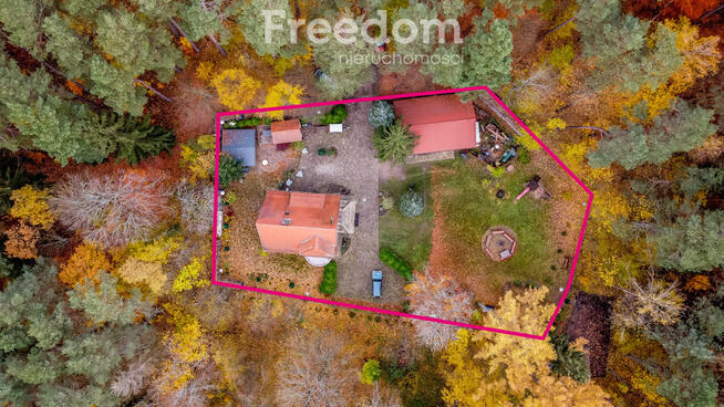 Agroturystyka w lesie nad jeziorem