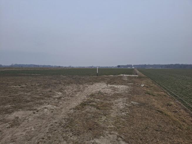 Działka budowlana 1000 m² w Boroszkowie
