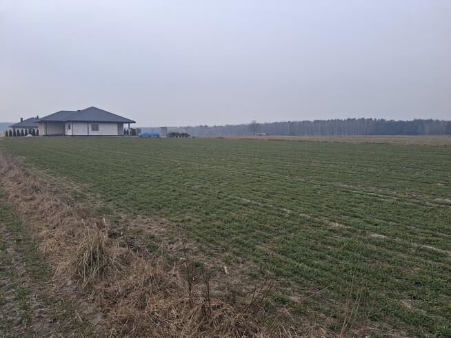 Działka budowlana 1000 m² w Boroszkowie