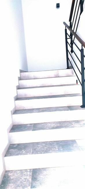 Lokal użytkowy Tychy Śródmieście