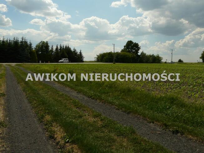 Działka inwestycyjna Skierniewice Miedniewice