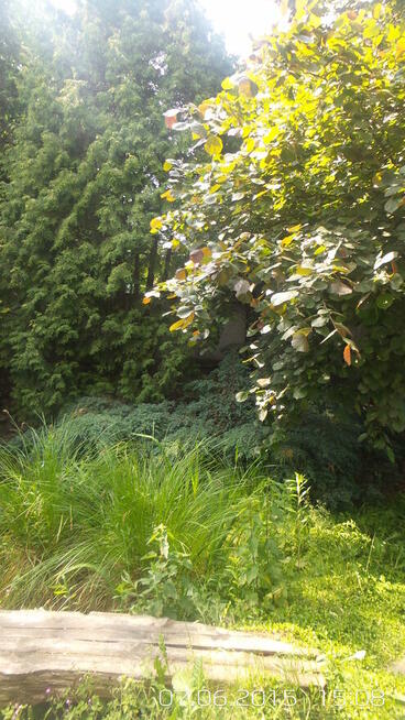 4 p. W-wa Miasto Ogród Włochy 4600 od 31.8.