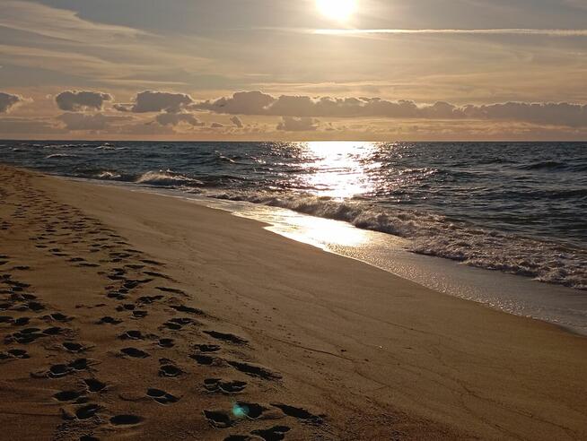 Domki Letniskowe Mojito