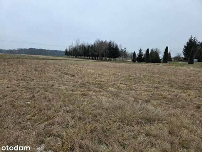 Duża działka | powierzchnia 15.171 m2 |