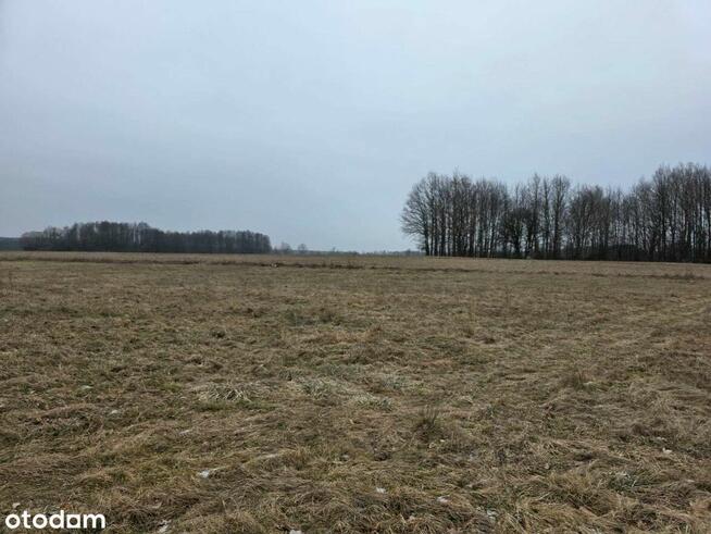 Duża działka | powierzchnia 15.171 m2 |