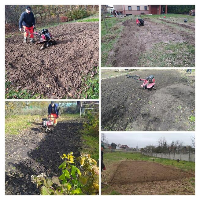 Zrębkowanie gałęzi- rębak spalinowy możliwość wynajmu