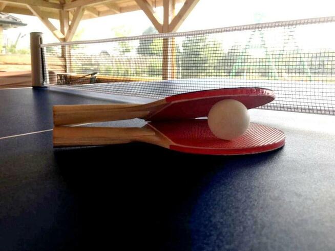 Domki Letniskowe Mojito