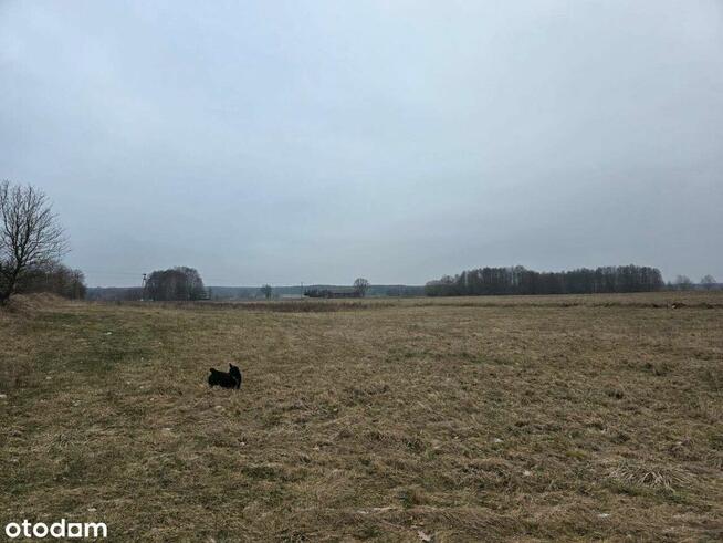 Duża działka | powierzchnia 15.171 m2 |