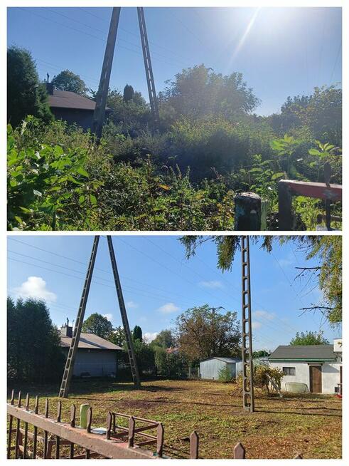 Zrębkowanie gałęzi- rębak spalinowy możliwość wynajmu