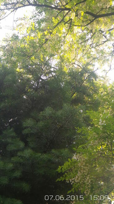 4 p. W-wa Miasto Ogród Włochy 4600 od 31.8.