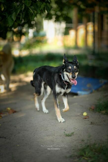 Nie czeka na cud ni złoto – czeka na Ciebie z ochotą! -Hania